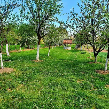 Pensiunea Feriegård *